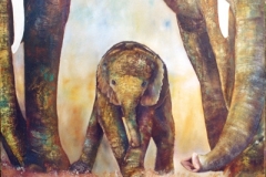 2006-elephants-2