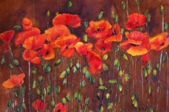 2010-Coquelicots