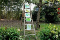 Christine Deloot-Rendez-vous aux jardins,