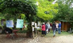 Exposition Terres de Brume 19 septembre 2021
