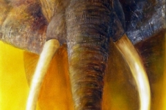 Fairouze-Elephant-Afrique