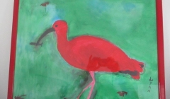 Liam - Ibis