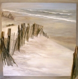 2007-ocean