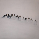 Macareux - huile sur toile