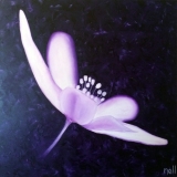 Nelly Richard
