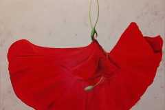 Patricia Mery - Pour une danseuse - 50x50