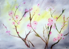Patricia Mery - Printemps au pays du matin calme