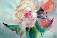 Patricia Mery - Rose douceur