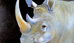 rinos - Aleksandra Isalska