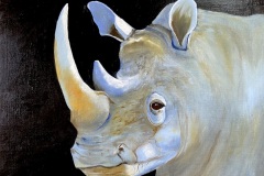 rinos - Aleksandra Isalska