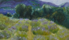 Catherine LINKE