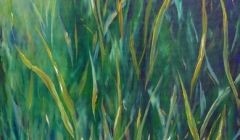 Catherine LINKE