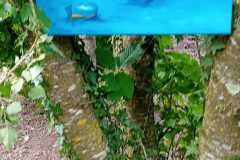 Christine Tizon - Rendez-vous aux jardins,