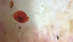 Expo Terres de Brume 19 septembre 2021