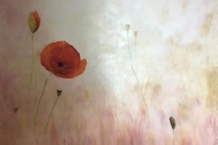 Expo Terres de Brume 19 septembre 2021