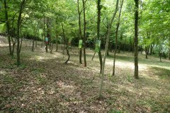 Corinne JEAN, Rendez-vous aux jardins