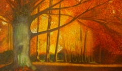 Fairouze-Clairiere-automne