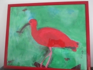 Liam - Ibis