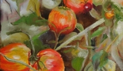 Hugues Oriol-Tomates