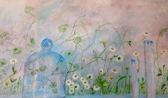 Jeanine Chausse