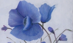 Jeanine Chausse