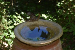Jennifer Meunier - sculpture de grès - Escargot