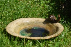 Jennifer Meunier - sculpture de grès - Escargot