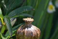 Jennifer Meunier - sculpture de grès