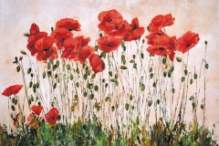 2005-Coquelicots