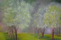 2013-arbres