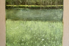 2014-nature-verte
