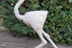 autruche grès