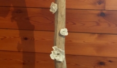 lampe avec  porcelaine