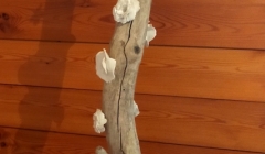 lampe avec  porcelaine
