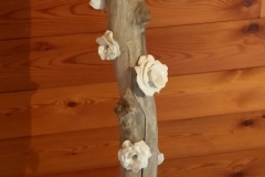 lampe avec  porcelaine