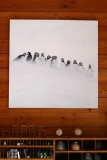Macareux - huile sur toile