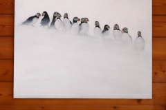 Macareux - huile sur toile