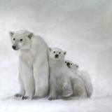 Ours - huile sur toile