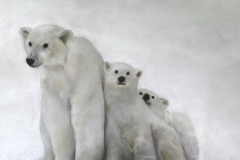 Ours - huile sur toile