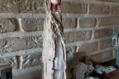 peau-dâne-1