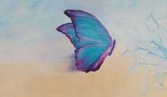 Patricia Mery - Papillon vole 2