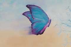 Patricia Mery - Papillon vole 2