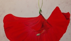 Patricia Mery - Pour une danseuse - 50x50