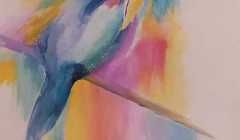 Patricia Mery - colibripose