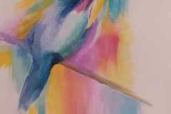 Patricia Mery - colibripose