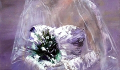 Patricia Mery - emotion silencieuse