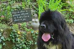 IMG-20250608-WA0004