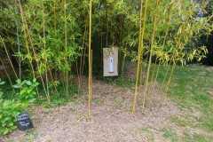 IMG-20250609-WA0020