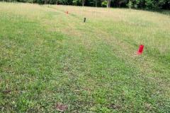 IMG-20250609-WA0036