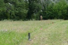 P1500245